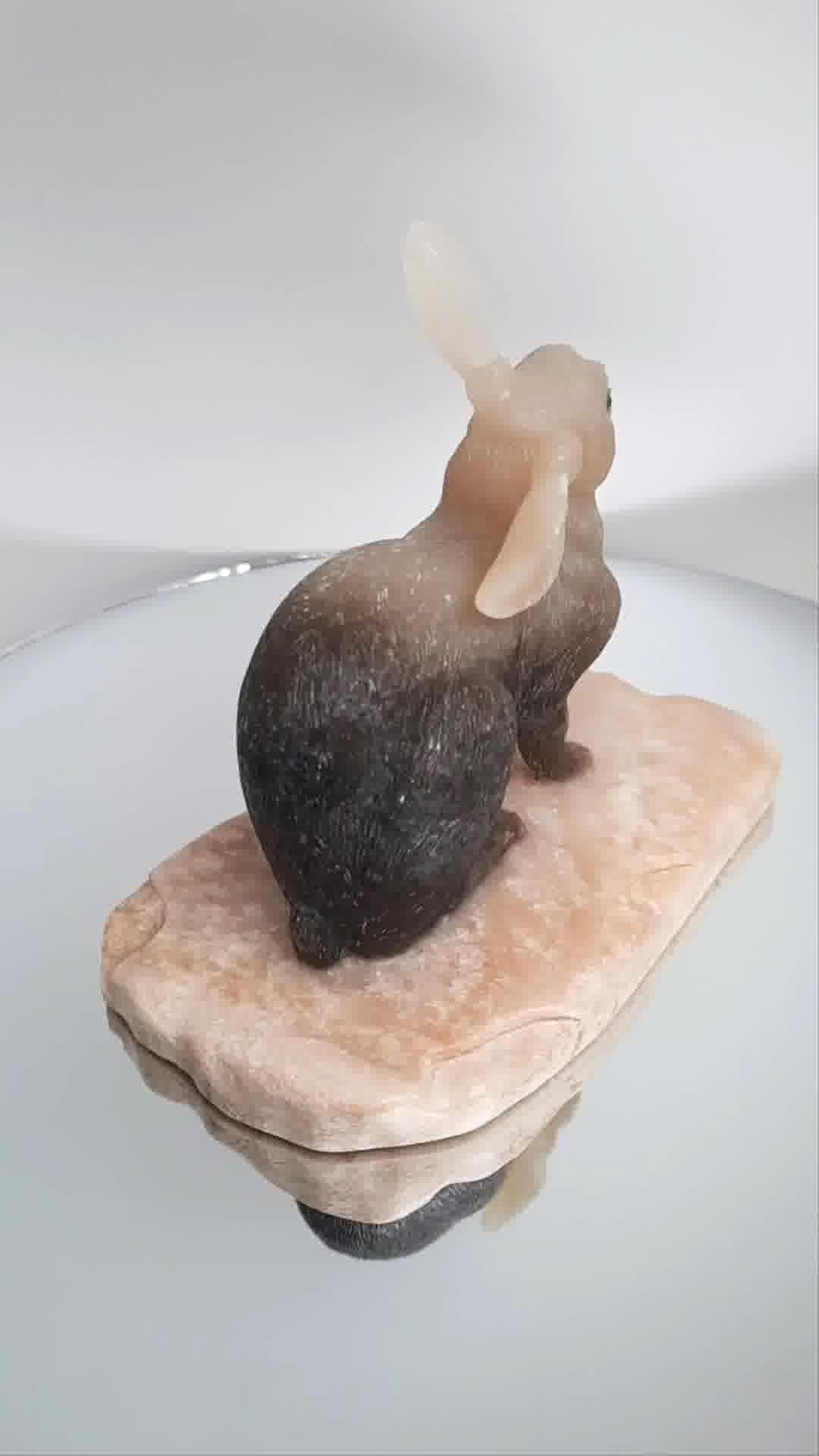 Lapin néphrite de Sibérie Miniature Unisexe en vente