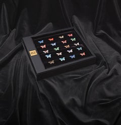 Stylish Butterfly Pin Jacket Silver Amber Hand Decorated with Micromosaic