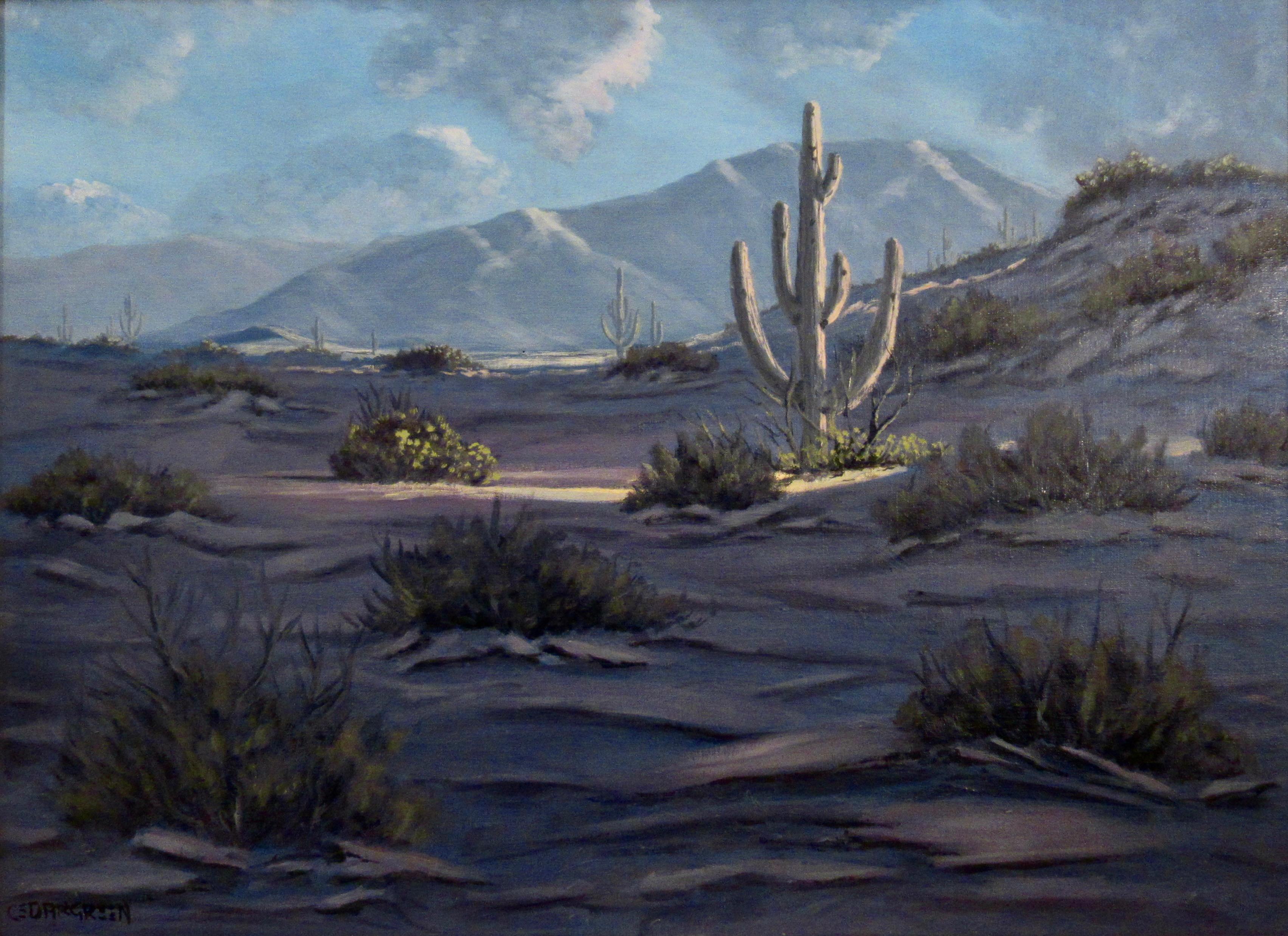 Cerca de Tubac, Arizona - Painting de Sid Cedargreen