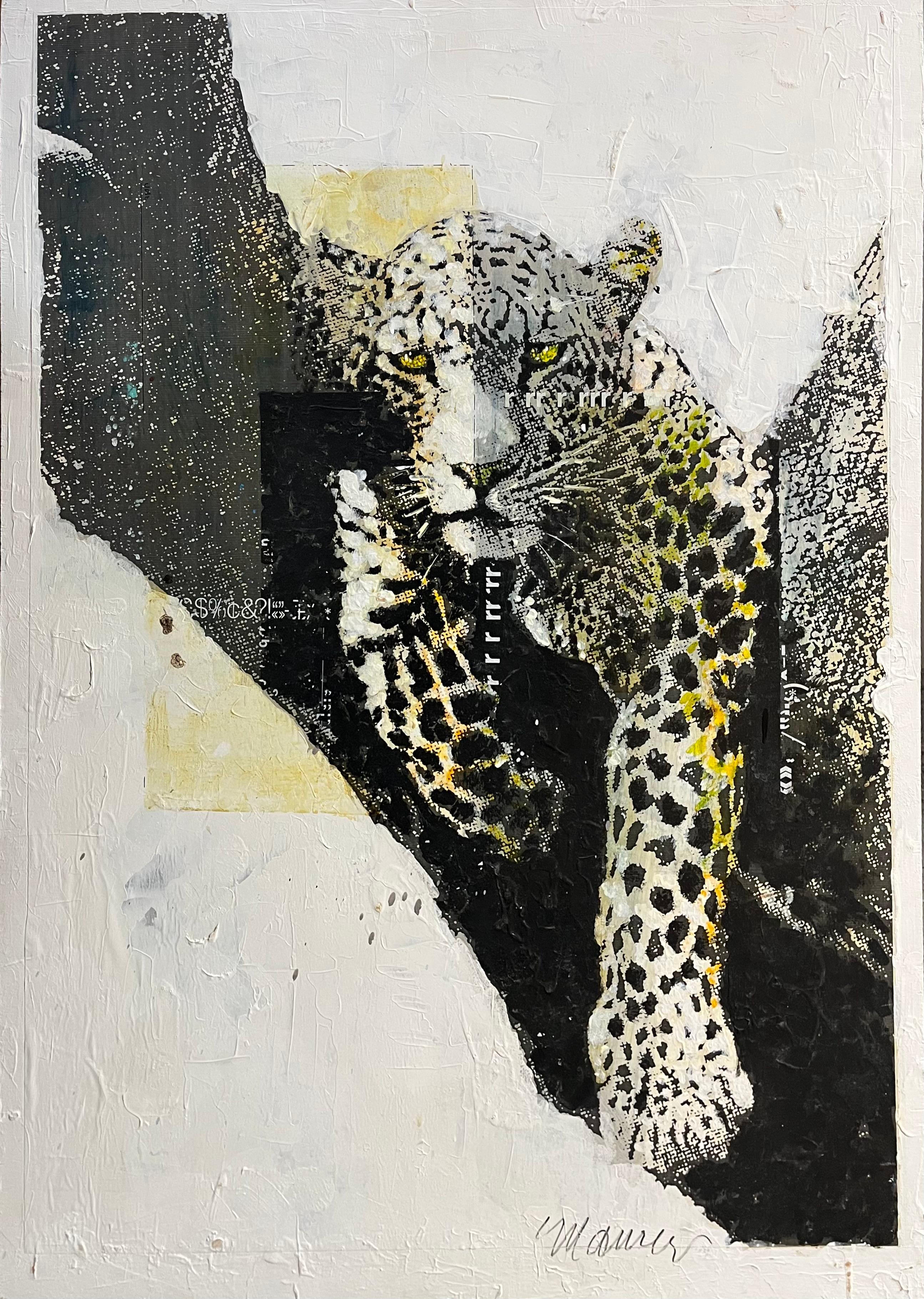 Original Leopard - Mixed Media Art by Sid Maurer