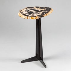 Side or Cocktail Table, Petrified Wood Slab with Black Color Metal Base
