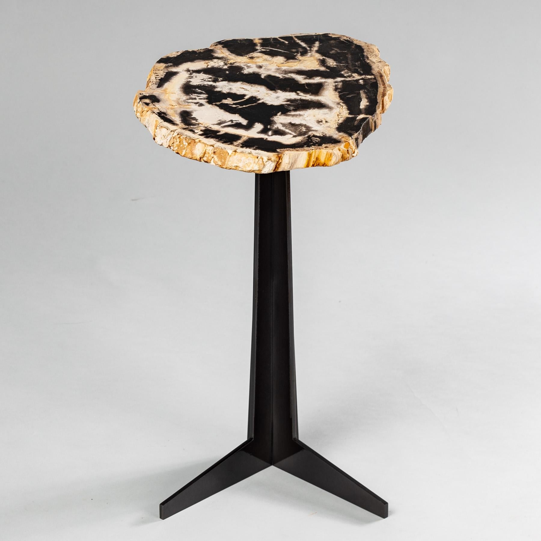Mexican Side or Cocktail Table, Petrified Wood Slab with Black Color Metal Base For Sale