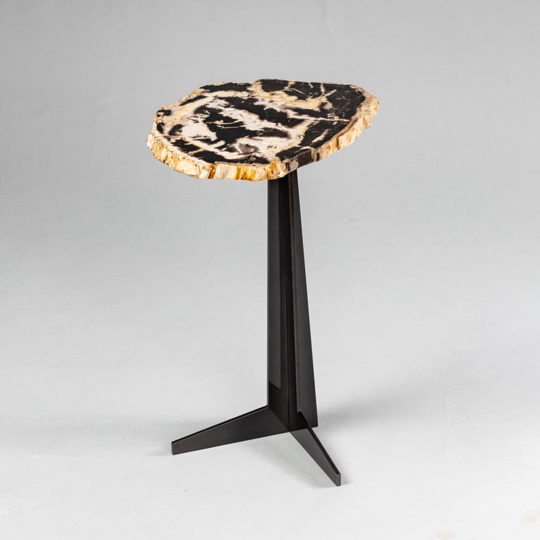Polished Side or Cocktail Table, Petrified Wood Slab with Black Color Metal Base For Sale
