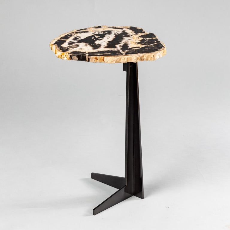 Side or Cocktail Table, Petrified Wood Slab with Black Color Metal Base In New Condition For Sale In Polanco, CDMX