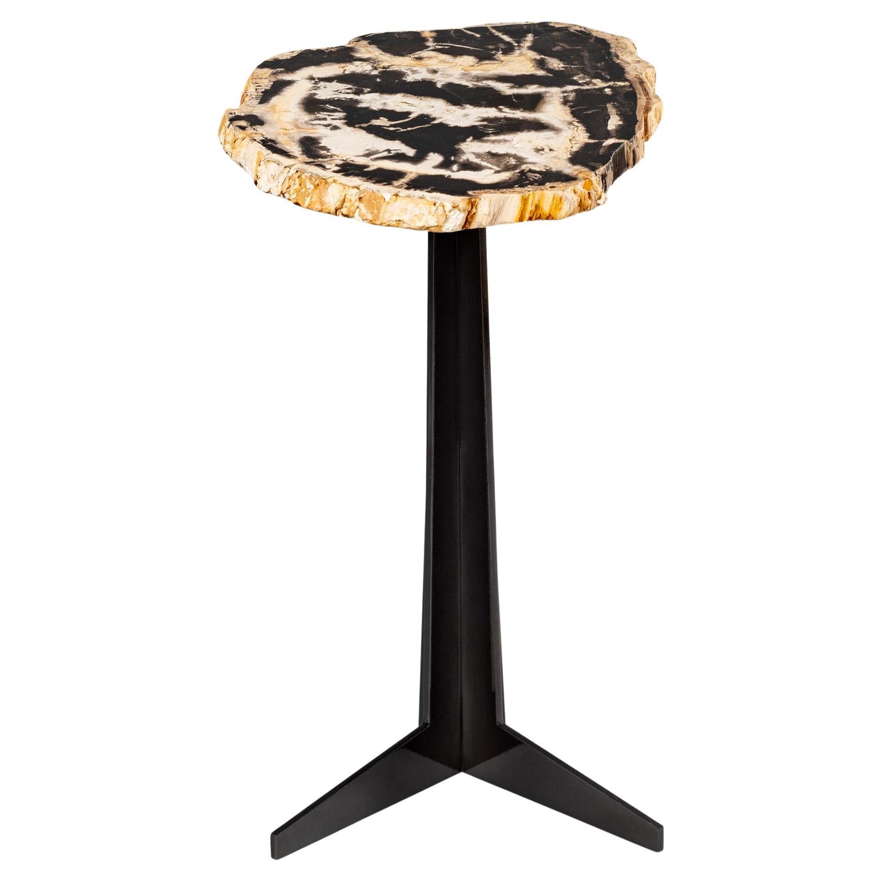Side or Cocktail Table, Petrified Wood Slab with Black Color Metal Base
