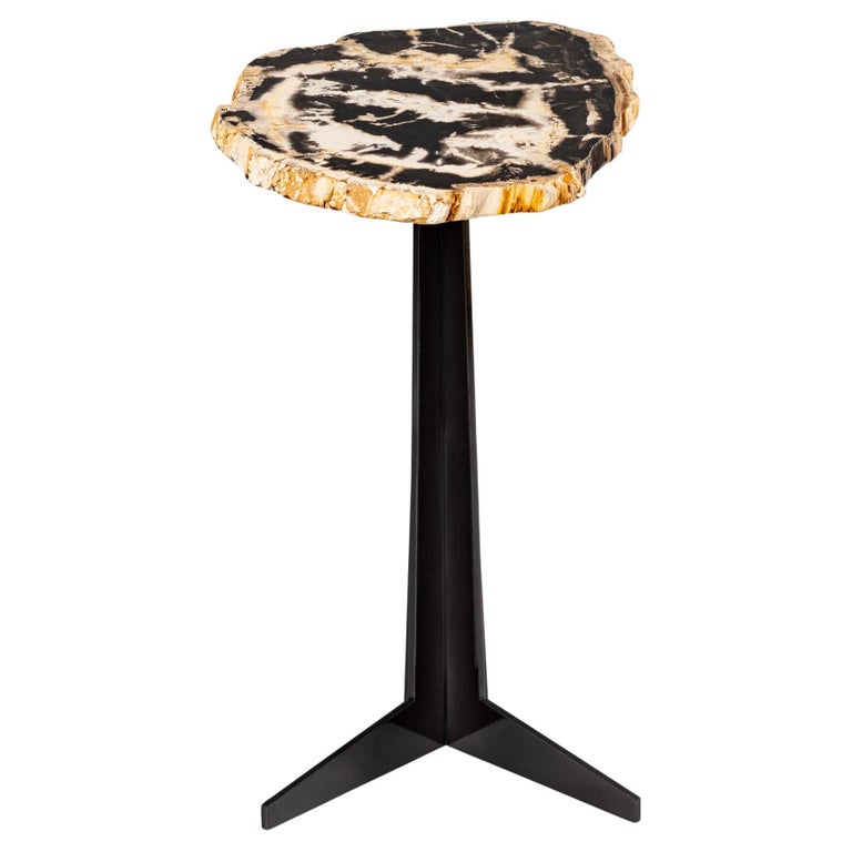 Side or Cocktail Table, Petrified Wood Slab with Black Color Metal Base For Sale