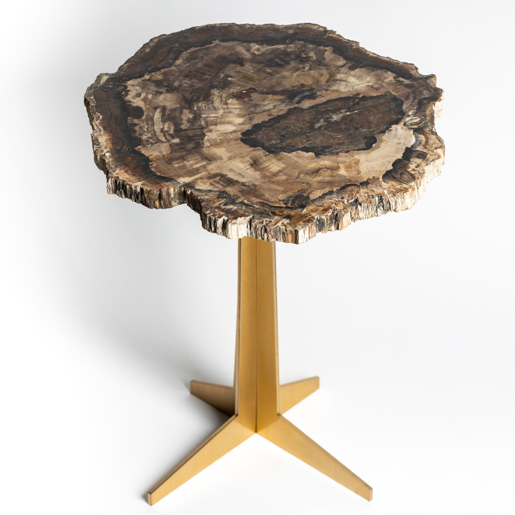 Side or Cocktail Table, Petrified Wood Slab with Gold Color Metal Base 3