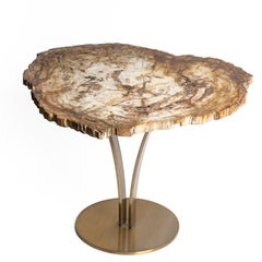 Tavolino o Cocktail Table, lastra di legno pietrificato con base in metallo dorato