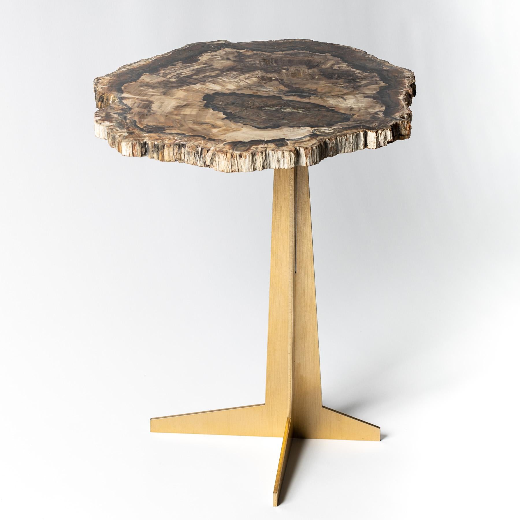 Organic Modern Side or Cocktail Table, Petrified Wood Slab with Gold Color Metal Base