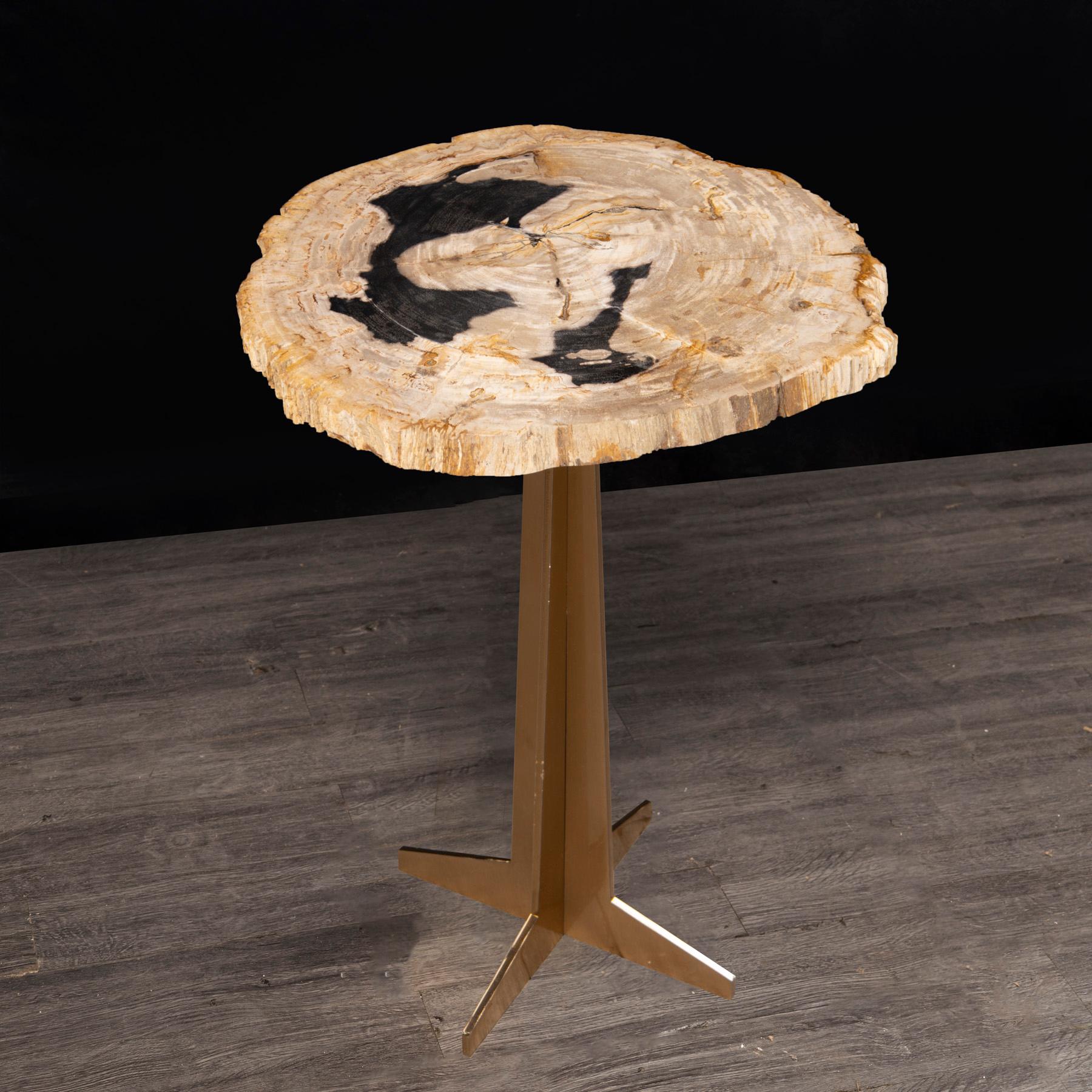 Organic Modern Side or Cocktail Table, Petrified Wood Slab with Gold Color Metal Base For Sale