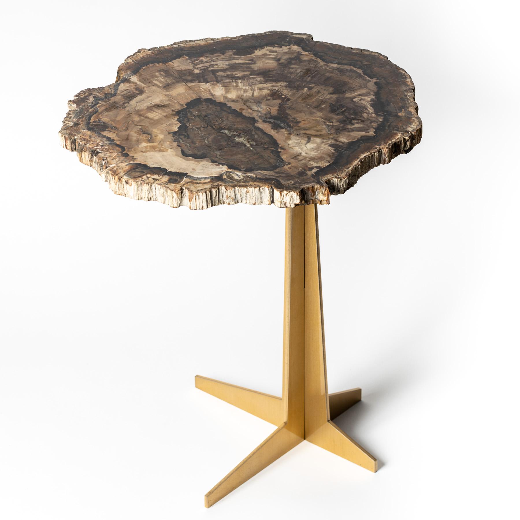 Mexican Side or Cocktail Table, Petrified Wood Slab with Gold Color Metal Base