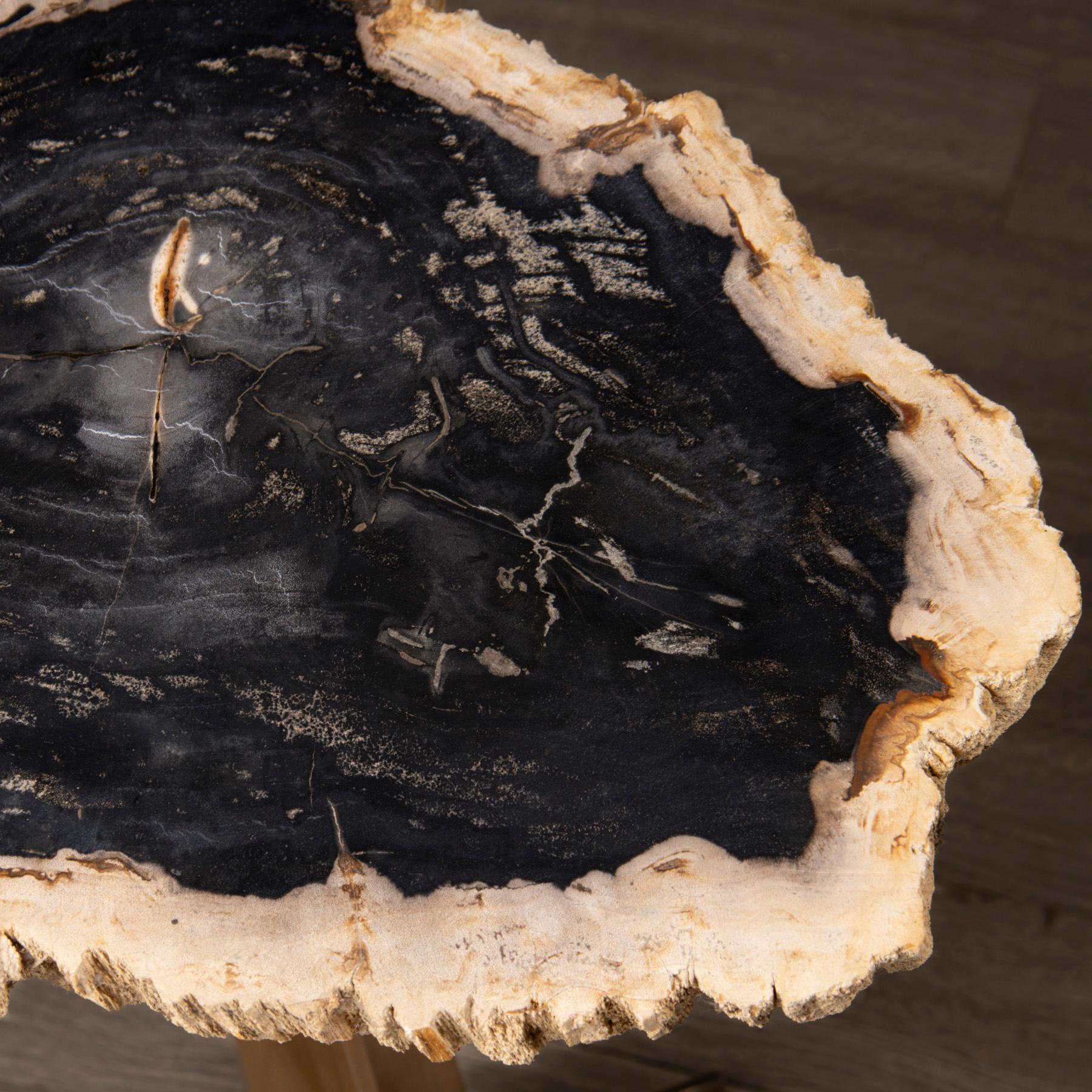 Mexicain Table d'appoint ou de cocktail, dalle de bois pétrifié avec base en métal de couleur or en vente