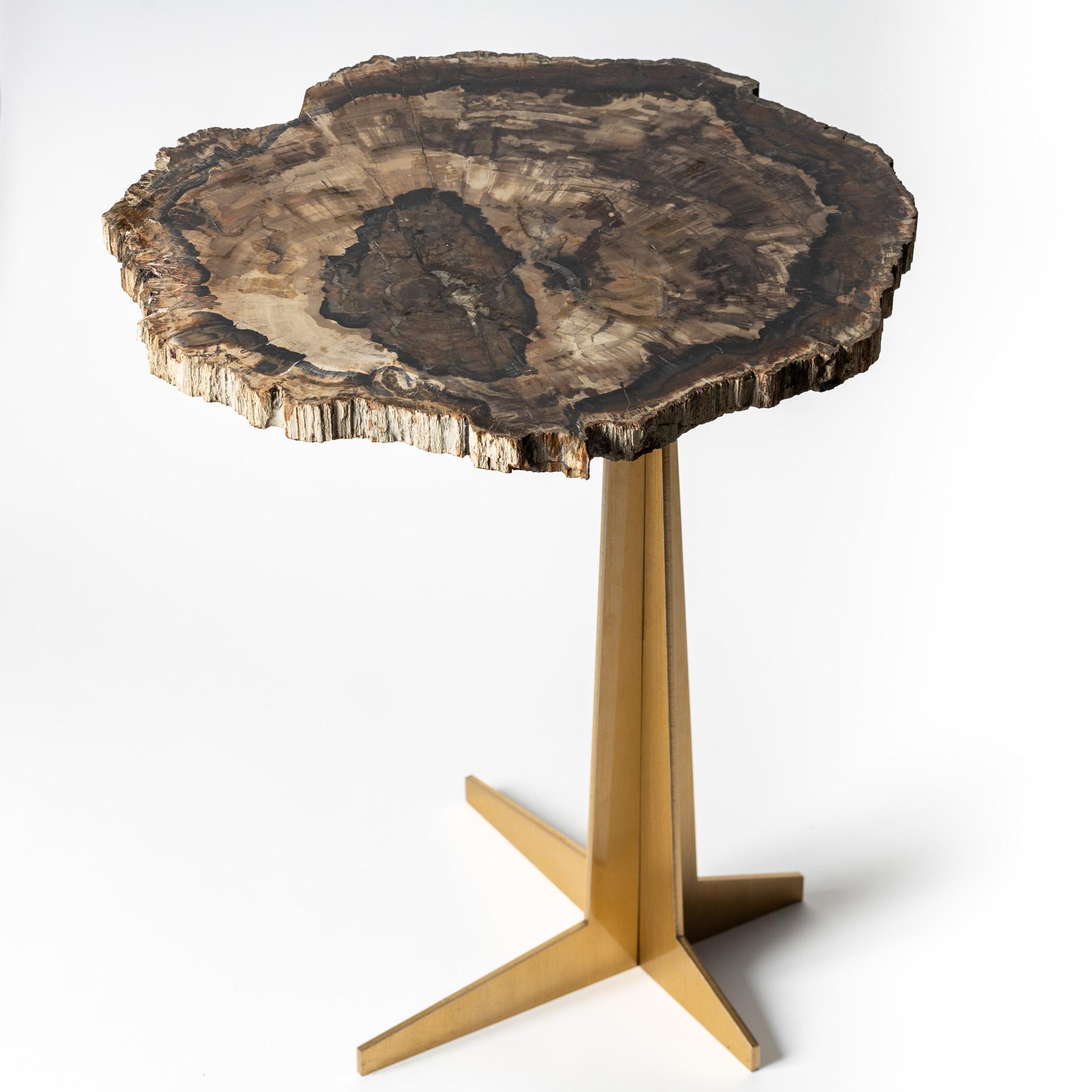 Polished Side or Cocktail Table, Petrified Wood Slab with Gold Color Metal Base