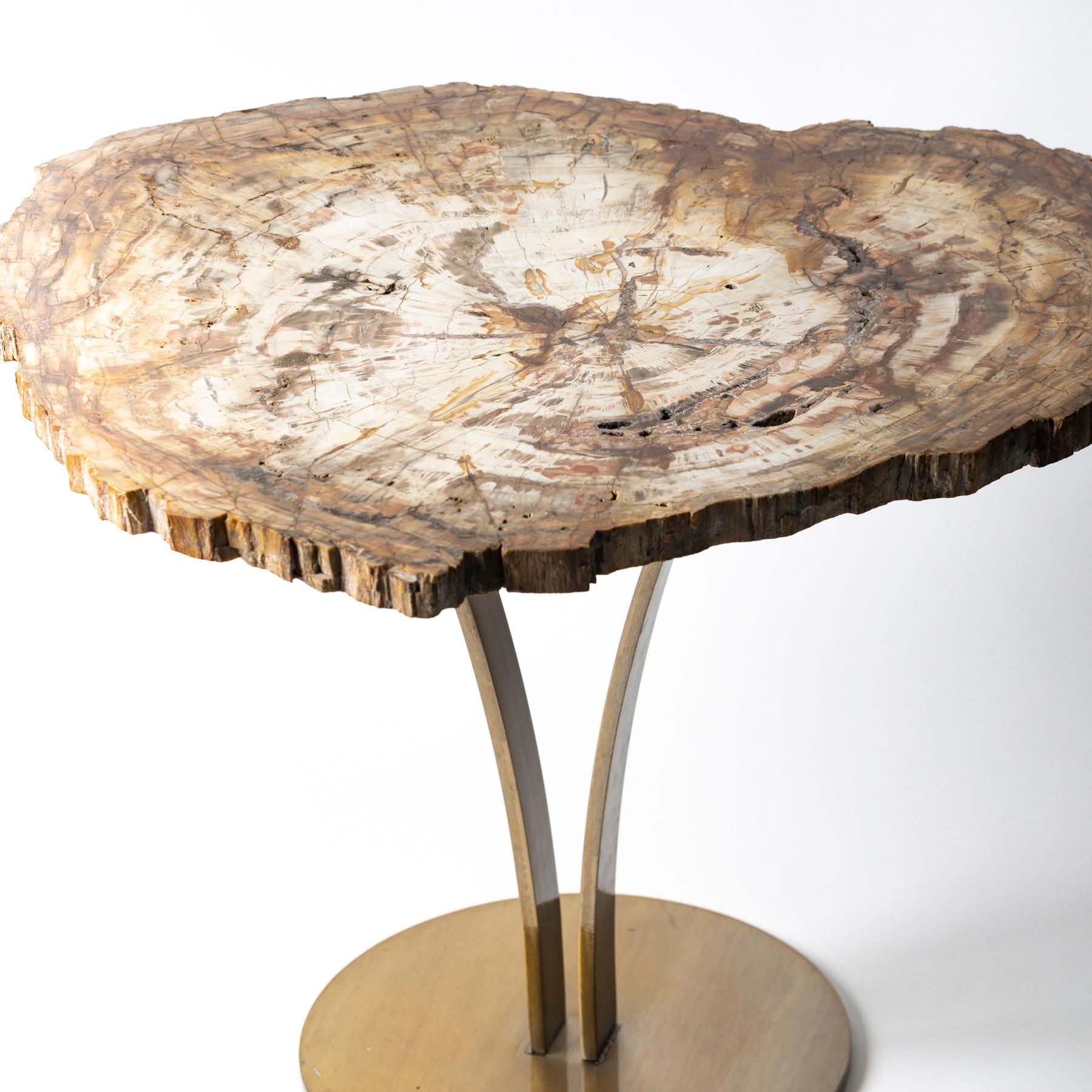 Mexican Side or Cocktail Table, Petrified Wood Slab with Gold Color Metal Base
