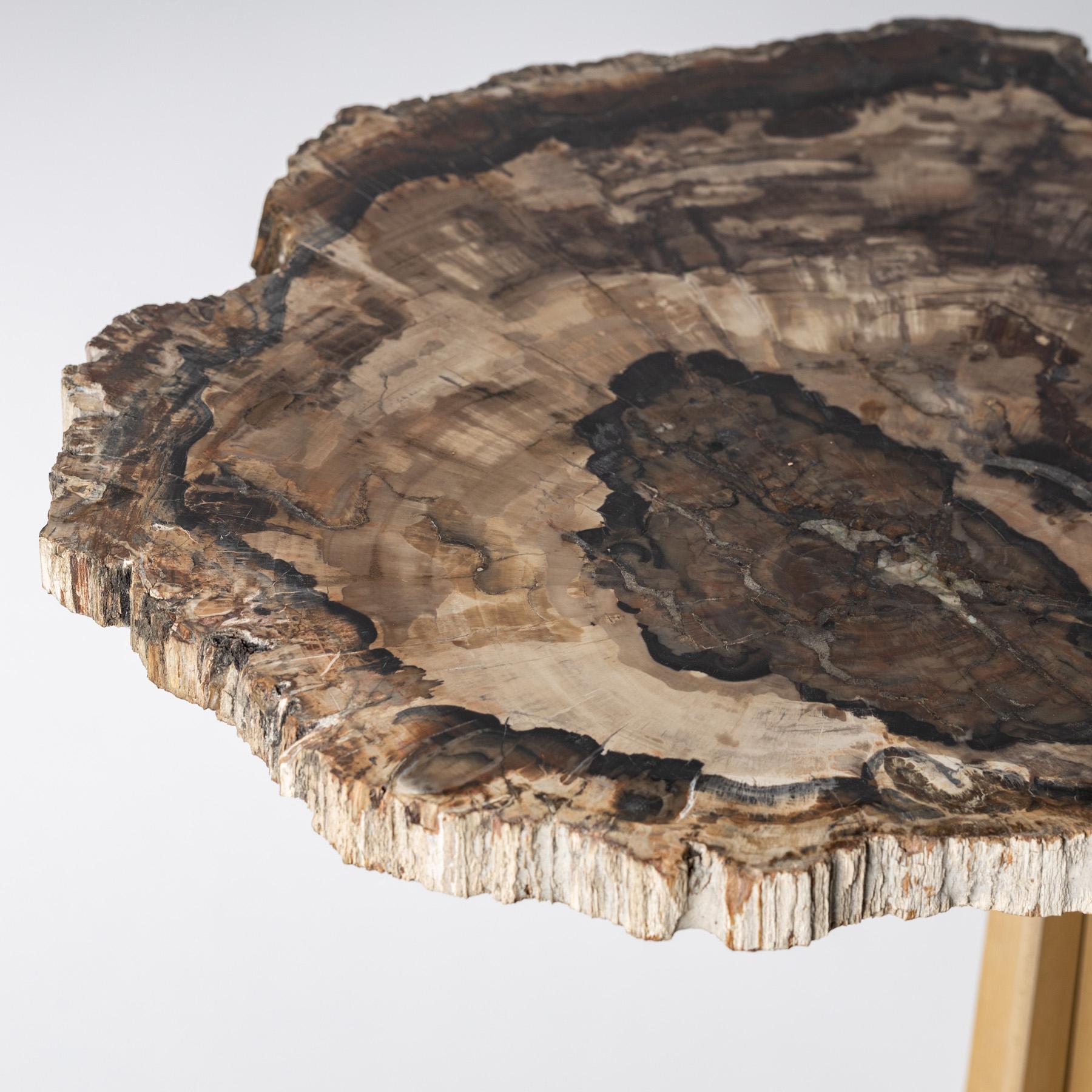 Side or Cocktail Table, Petrified Wood Slab with Gold Color Metal Base In New Condition In Polanco, CDMX