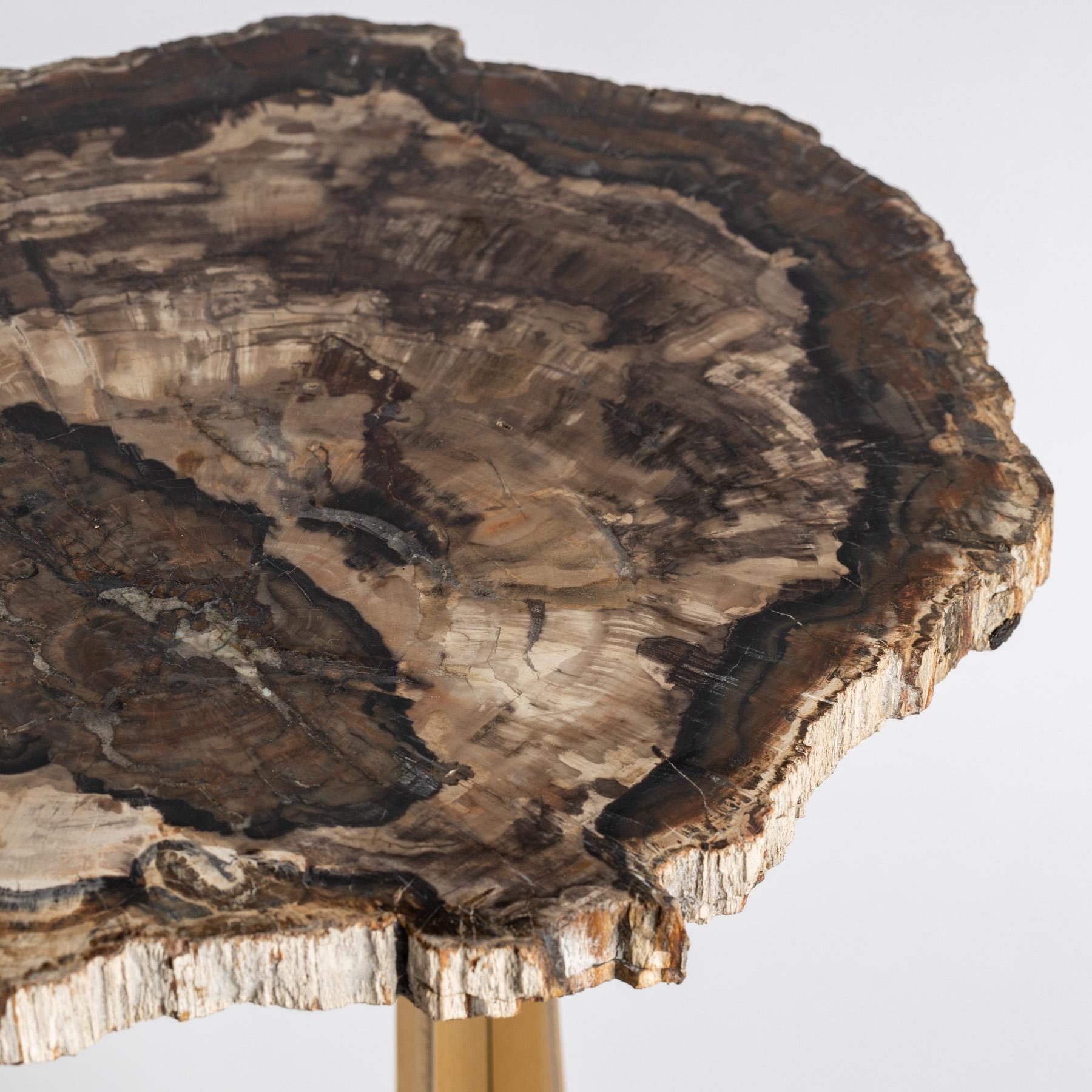 Contemporary Side or Cocktail Table, Petrified Wood Slab with Gold Color Metal Base