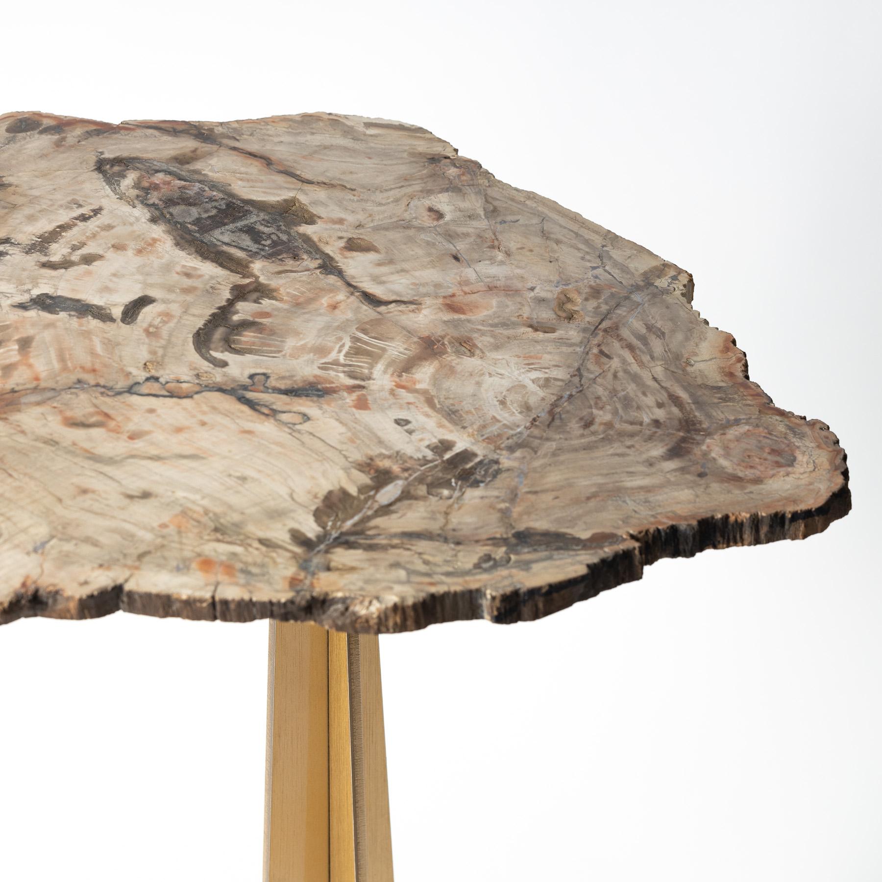 Side or Cocktail Table, Petrified Wood Slab with Gold Color Metal Base For Sale 1