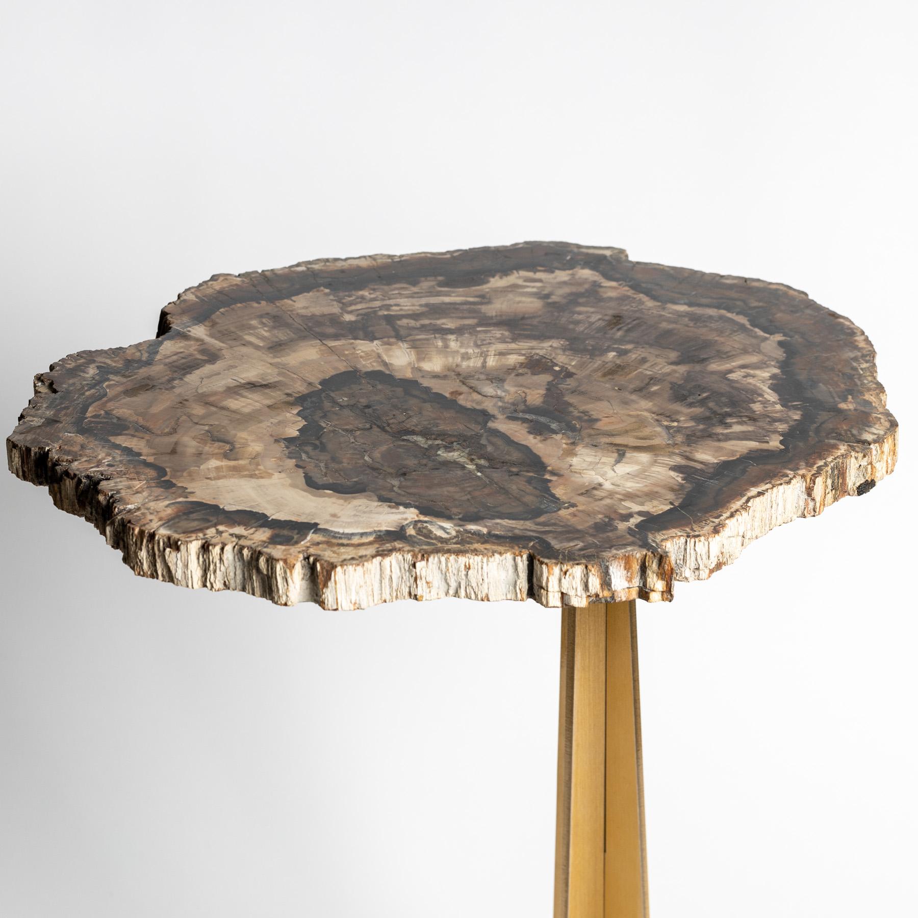Side or Cocktail Table, Petrified Wood Slab with Gold Color Metal Base 1