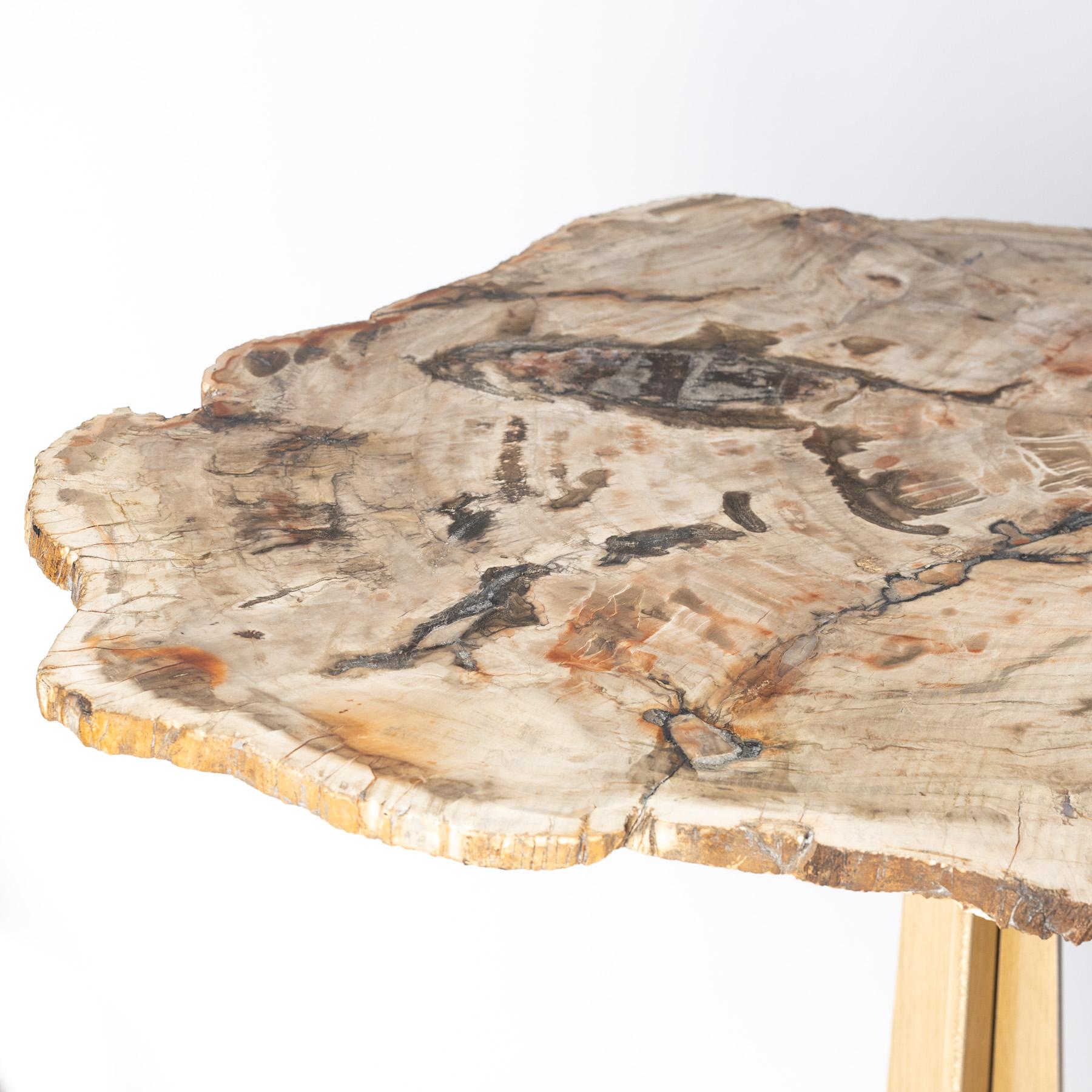 Table d'appoint ou de cocktail, dalle en bois pétrifié avec base en métal de couleur or en vente 1