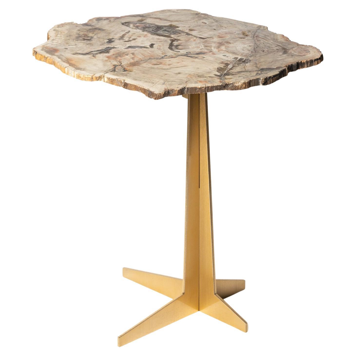 Side or Cocktail Table, Petrified Wood Slab with Gold Color Metal Base For Sale