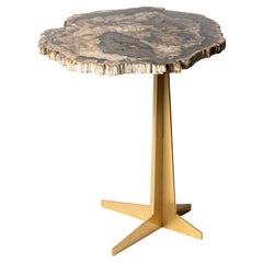 Side or Cocktail Table, Petrified Wood Slab with Gold Color Metal Base