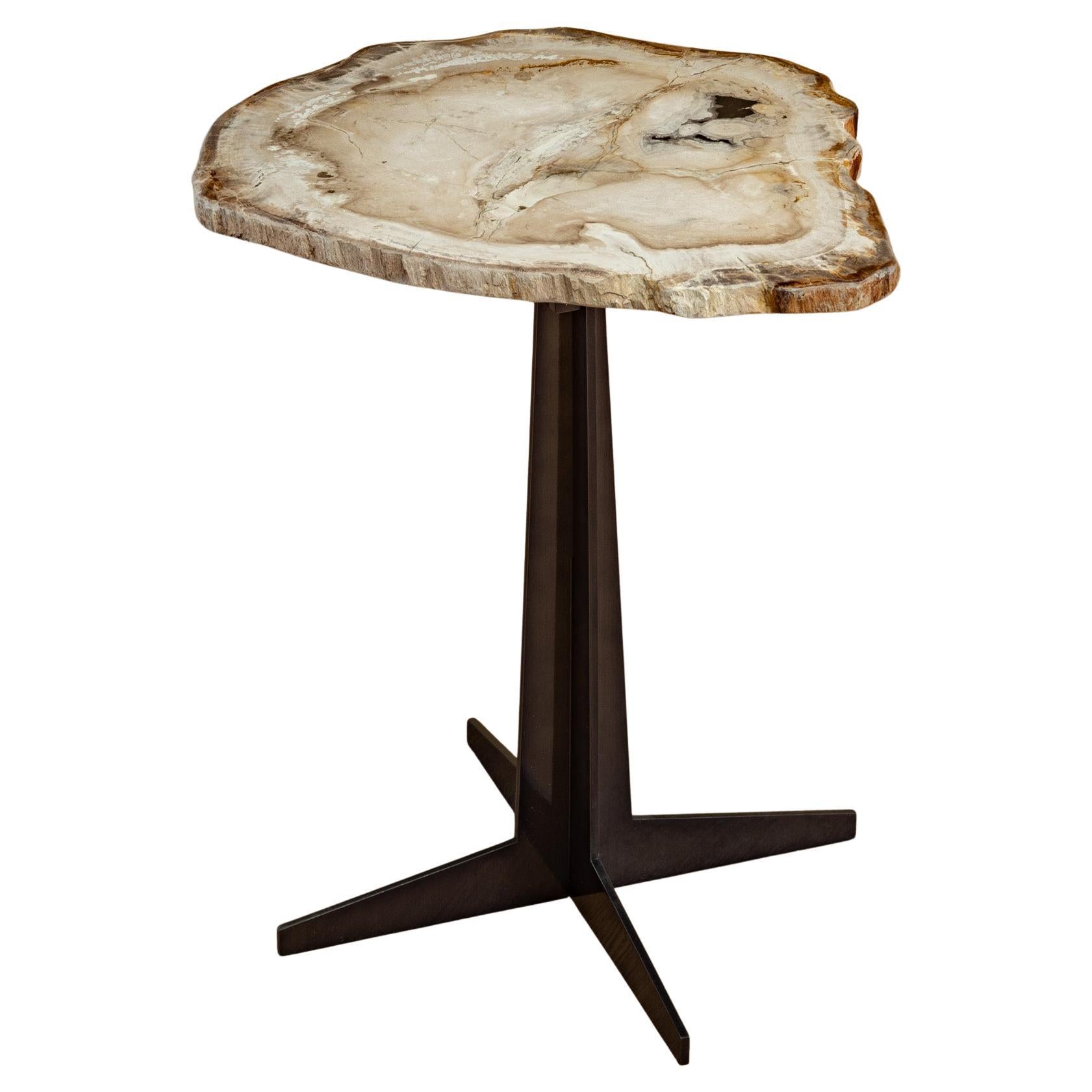 Side or Cocktail Table, Petrified Wood Slab with Metal Base en venta