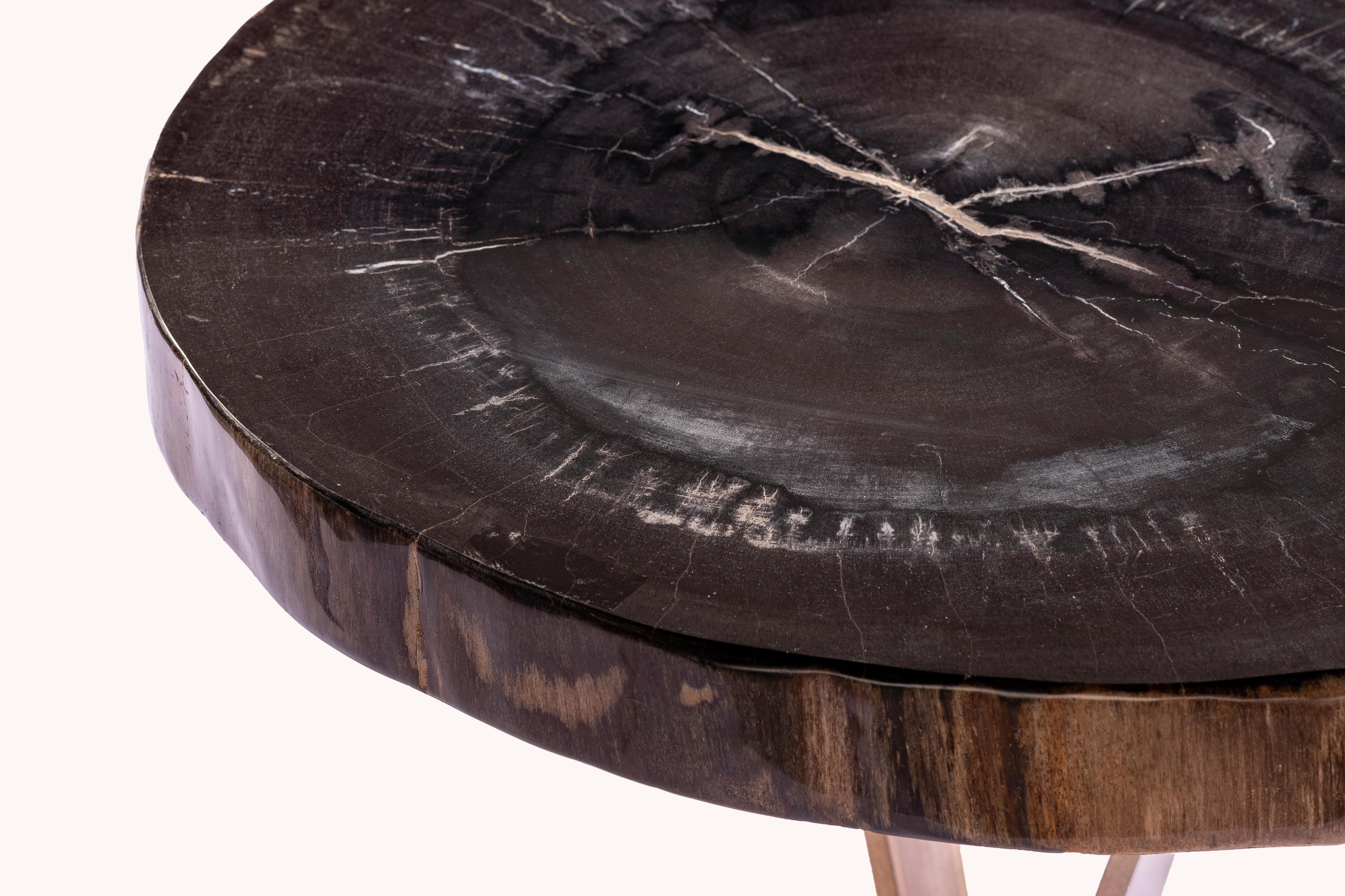 Organic Modern Side or Cocktail Table, Petrified Wood Top with Gold Color Metal Base