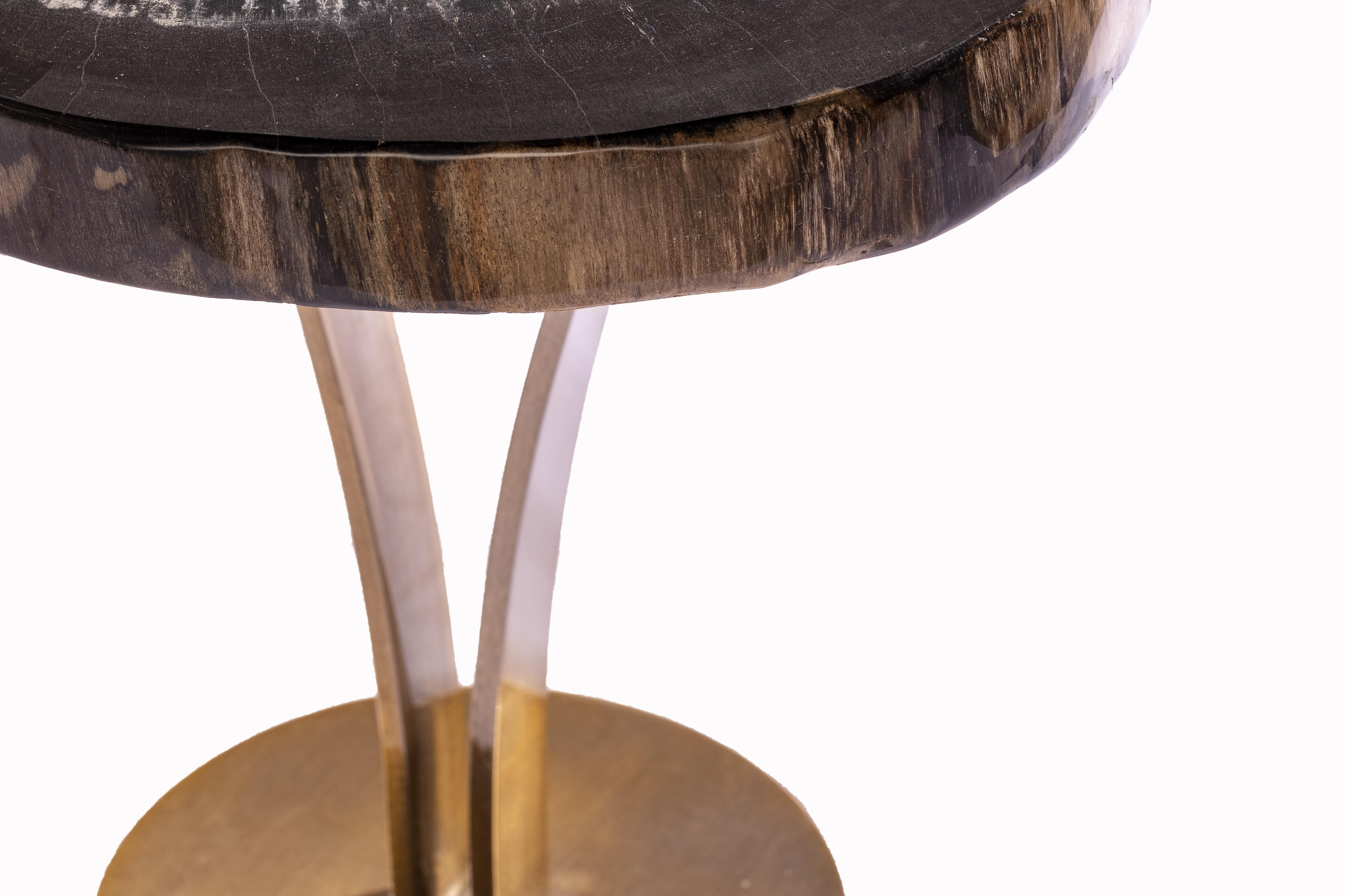 Polished Side or Cocktail Table, Petrified Wood Top with Gold Color Metal Base