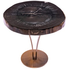 Side or Cocktail Table, Petrified Wood Top with Gold Color Metal Base