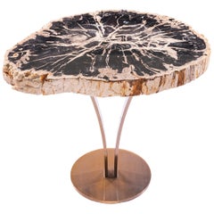 Beistell- oder Cocktailtisch:: Platte aus versteinertem Holz mit goldfarbenem Metallgestell
