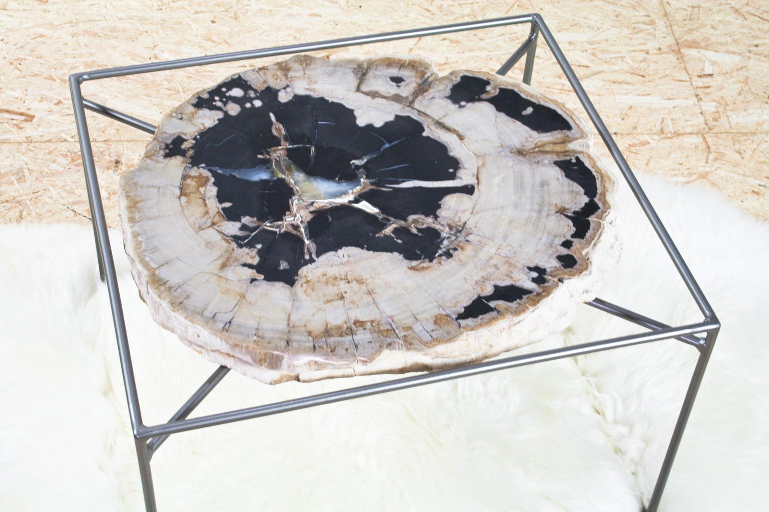 Hand picked petrified wood tabletop placed on a new grey lacquered metal base. Smooth sanded and polished top. The object still holds the organic and typically wooden tissue and carvings. 
Petrified wood is perfect as a cocktail table, side table