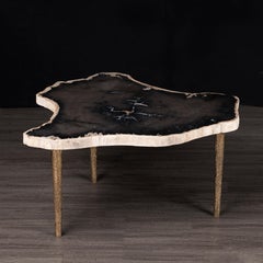 Side or Coffee Table, Petrified Wood with Solid Bronze Base