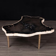 Side or Coffee Table, Petrified Wood with Solid Bronze Base