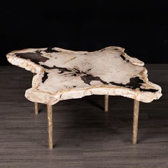 Side or Coffee Table, Petrified Wood with Solid Bronze Base