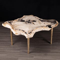 Side or Coffee Table, Petrified Wood with 4 Solid Bronze legs