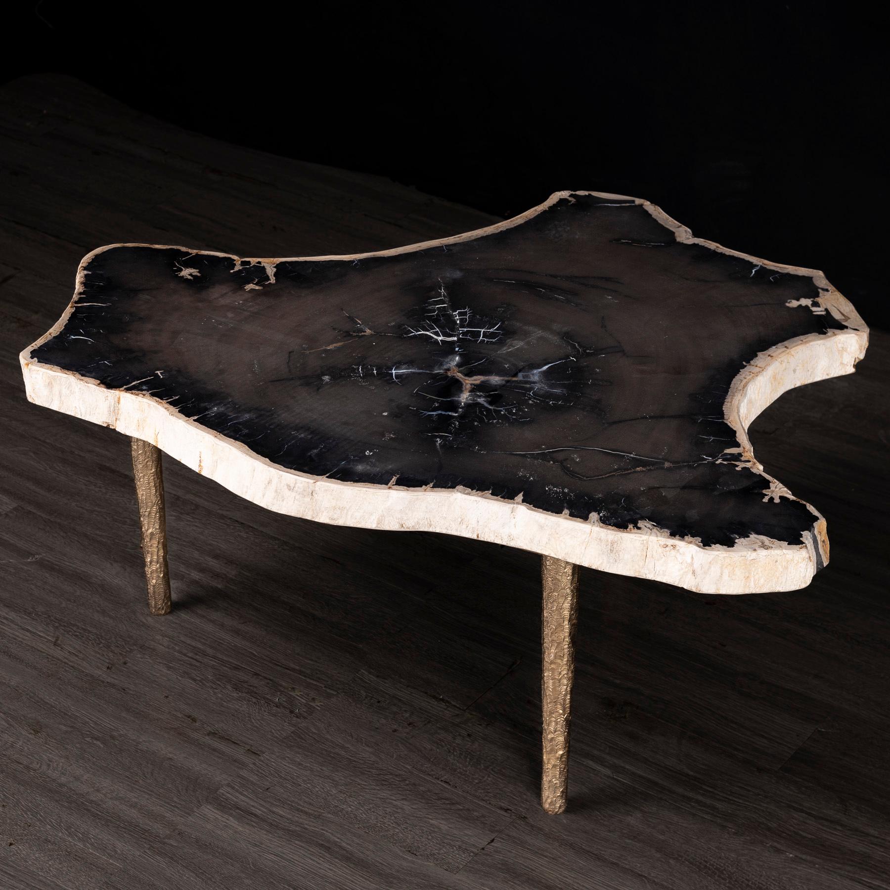 Organic Modern Side or Coffee Table, Petrified Wood with Solid Bronze Base For Sale