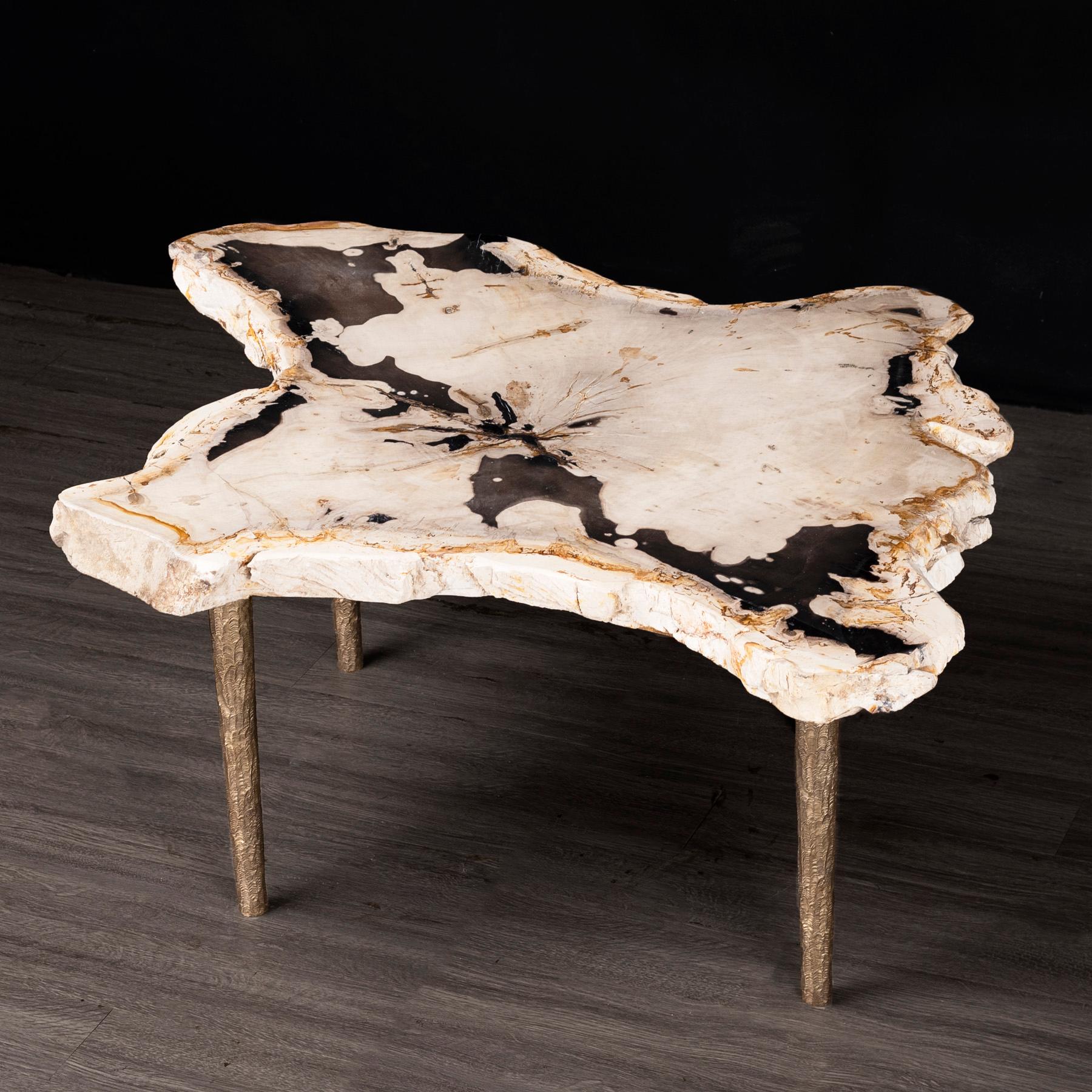 Organic Modern Side or Coffee Table, Petrified Wood with Solid Bronze Base