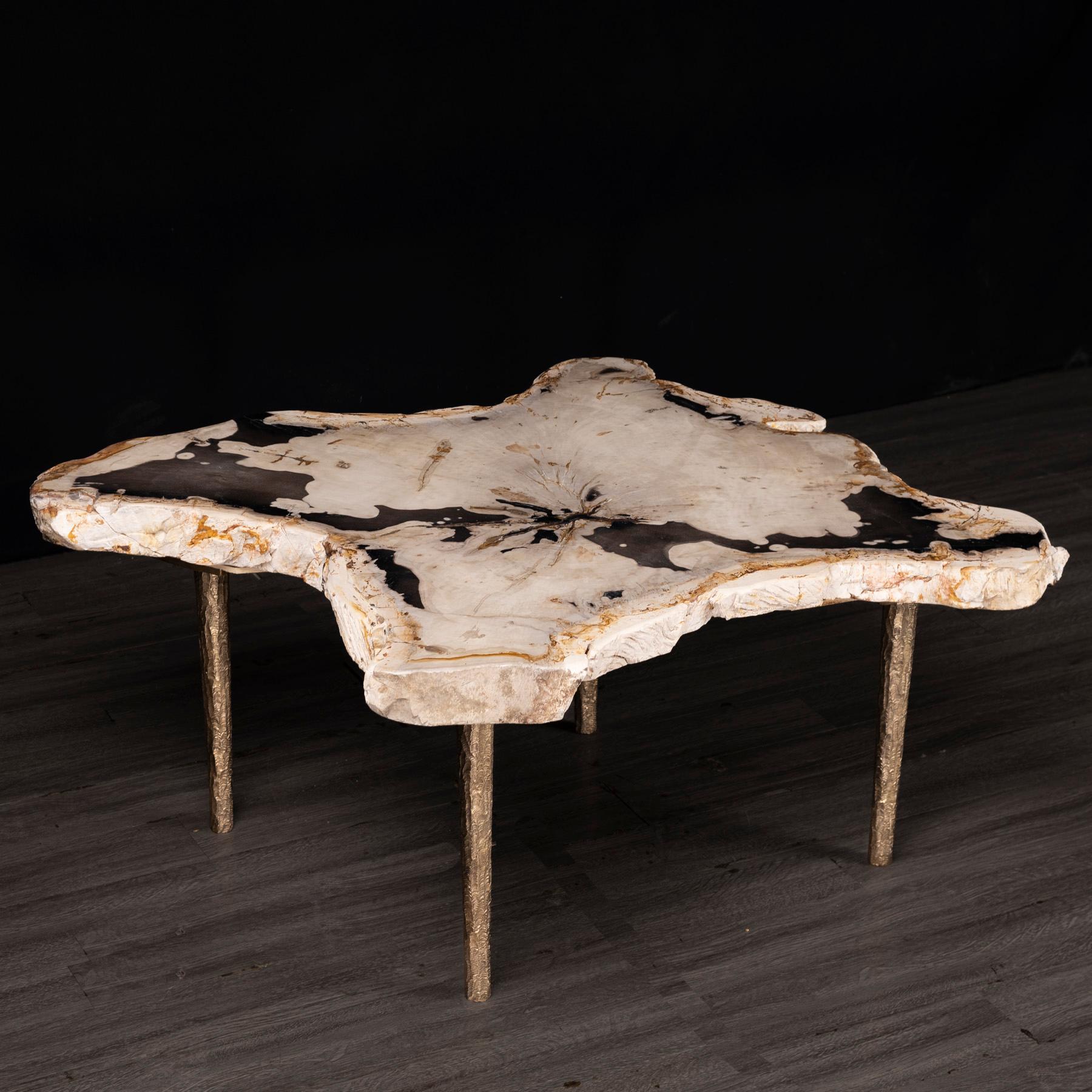 Mexican Side or Coffee Table, Petrified Wood with Solid Bronze Base