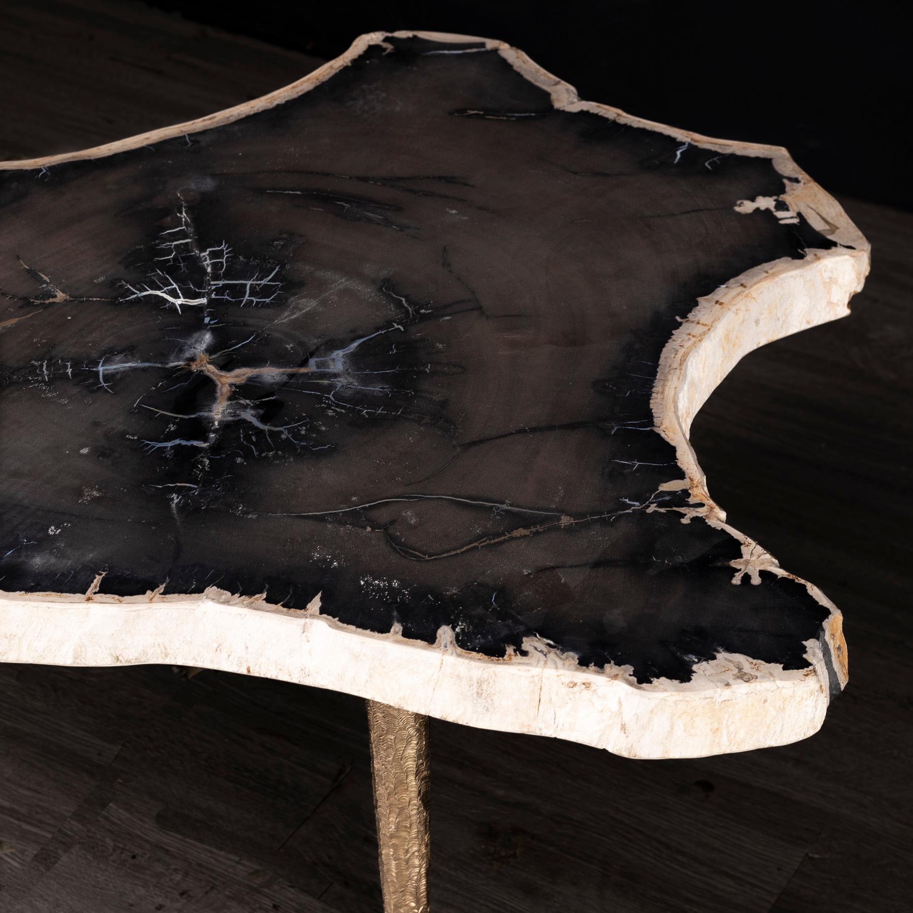 Polished Side or Coffee Table, Petrified Wood with Solid Bronze Base For Sale