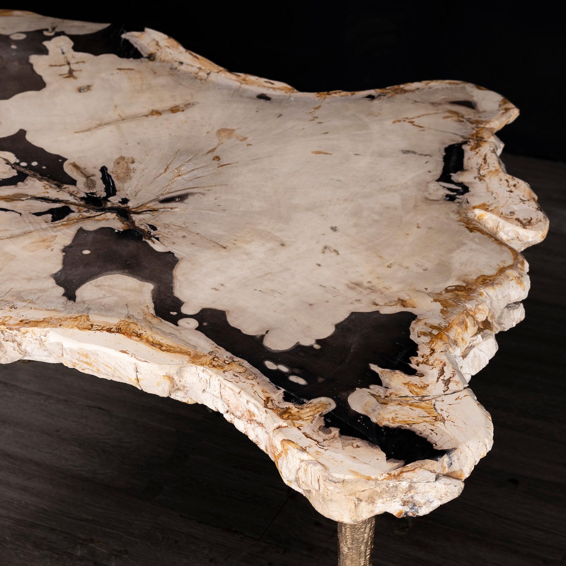 Polished Side or Coffee Table, Petrified Wood with Solid Bronze Base