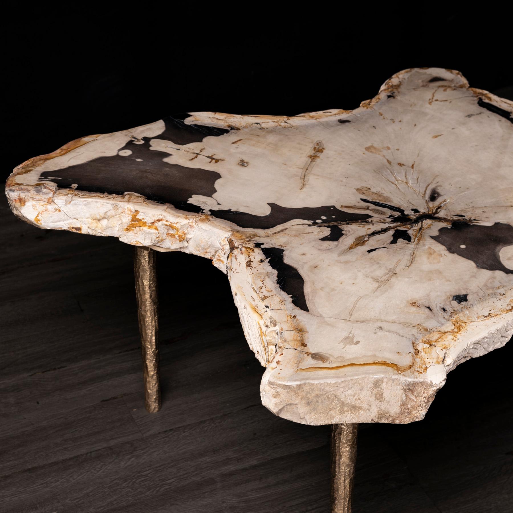 Side or Coffee Table, Petrified Wood with Solid Bronze Base In New Condition In Polanco, CDMX