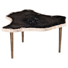 Side or Coffee Table, Petrified Wood with Solid Bronze Base