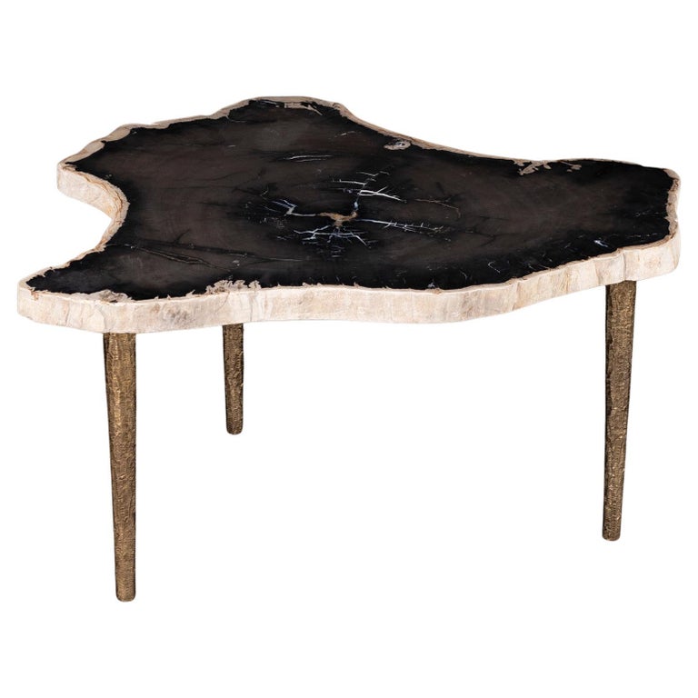 Side or Coffee Table, Petrified Wood with Solid Bronze Base For Sale at