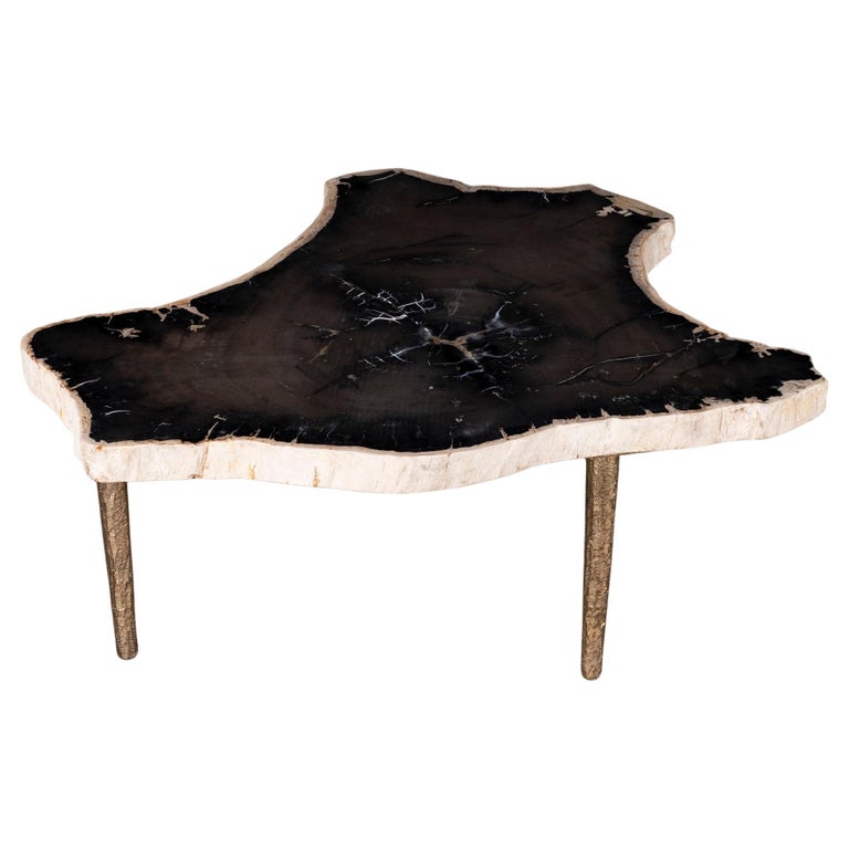 Side or Coffee Table, Petrified Wood with Solid Bronze Base For Sale at