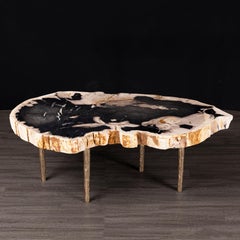 Side or Coffee Table, Petrified Wood with Solid Bronze Base legs