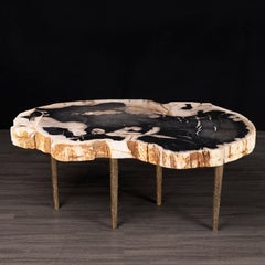 Side or Coffee Table, Petrified Wood with Solid Bronze Base legs