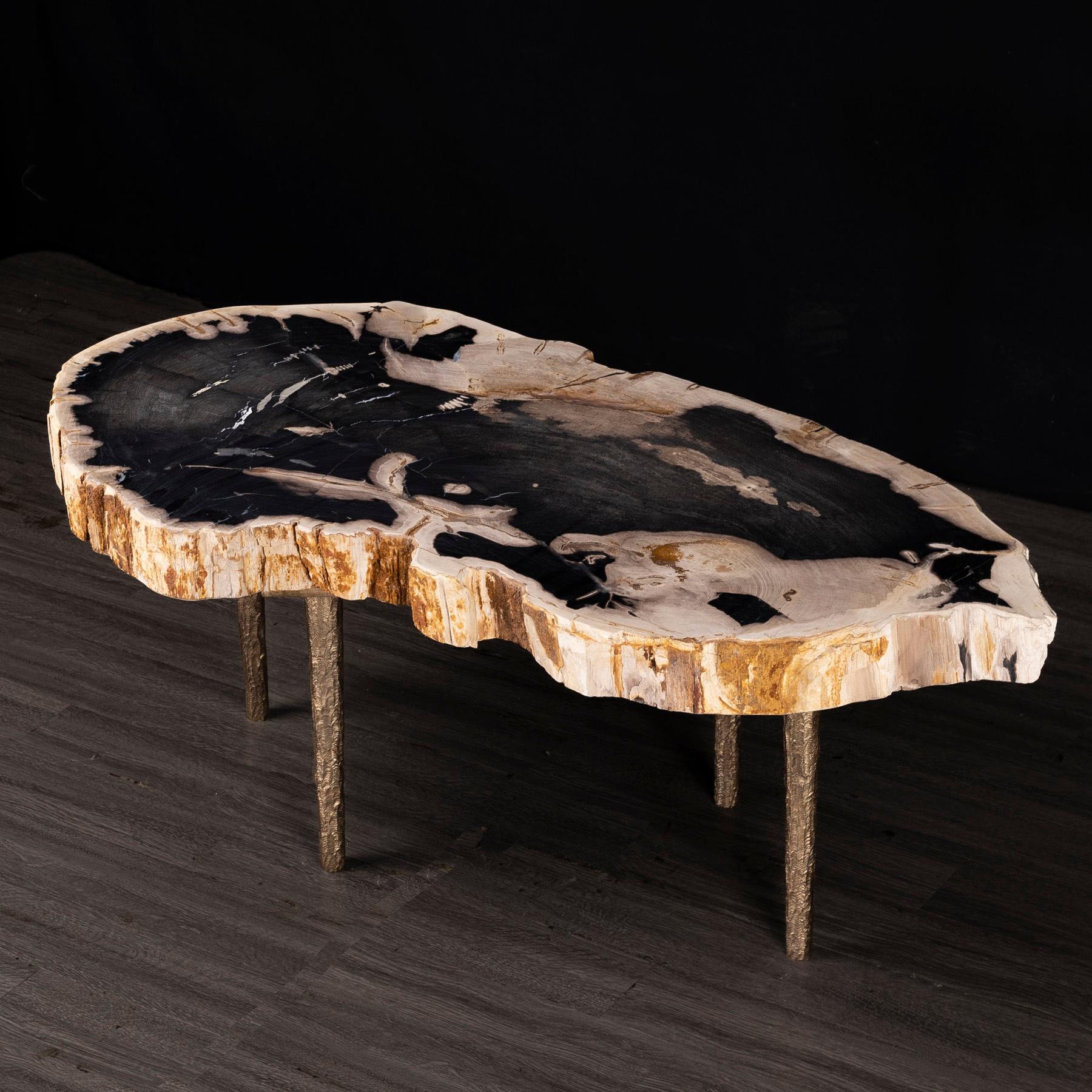 Organic Modern Side or Coffee Table, Petrified Wood with Solid Bronze Base legs