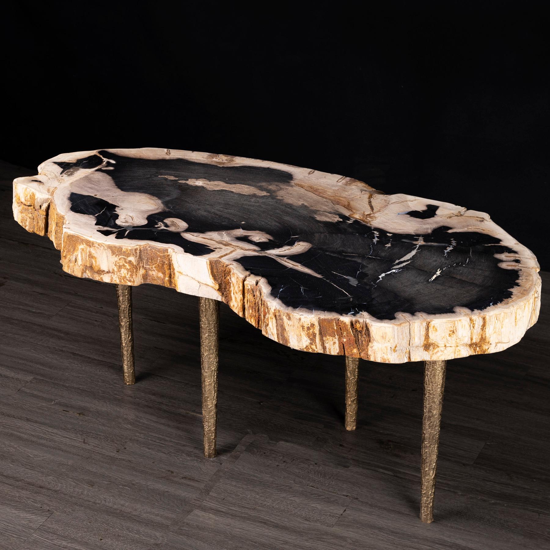 Organic Modern Side or Coffee Table, Petrified Wood with Solid Bronze Base legs