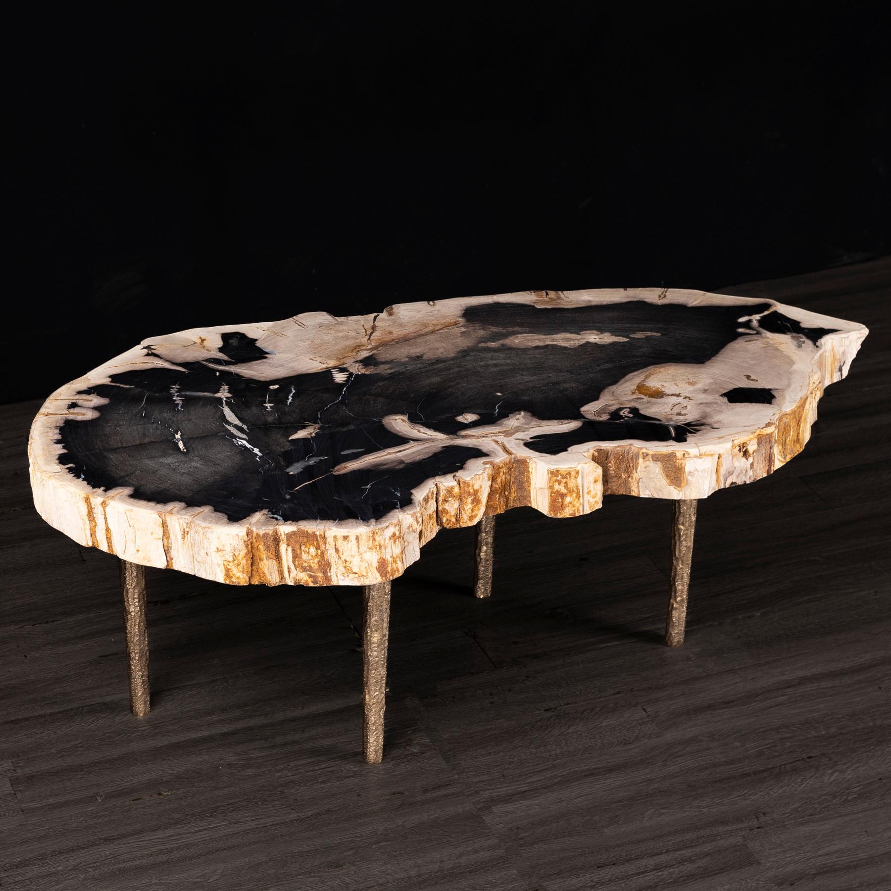 Mexican Side or Coffee Table, Petrified Wood with Solid Bronze Base legs