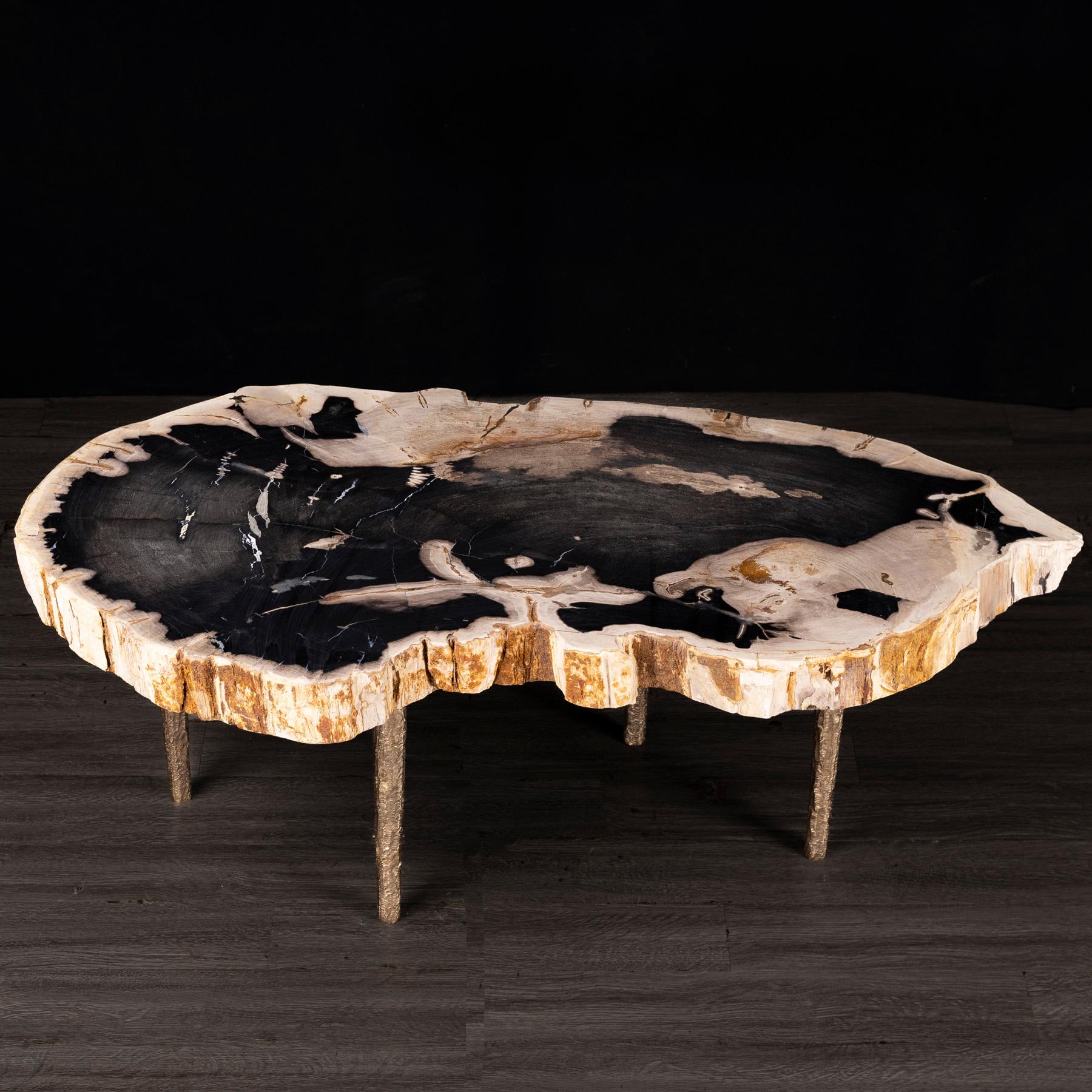 Polished Side or Coffee Table, Petrified Wood with Solid Bronze Base legs